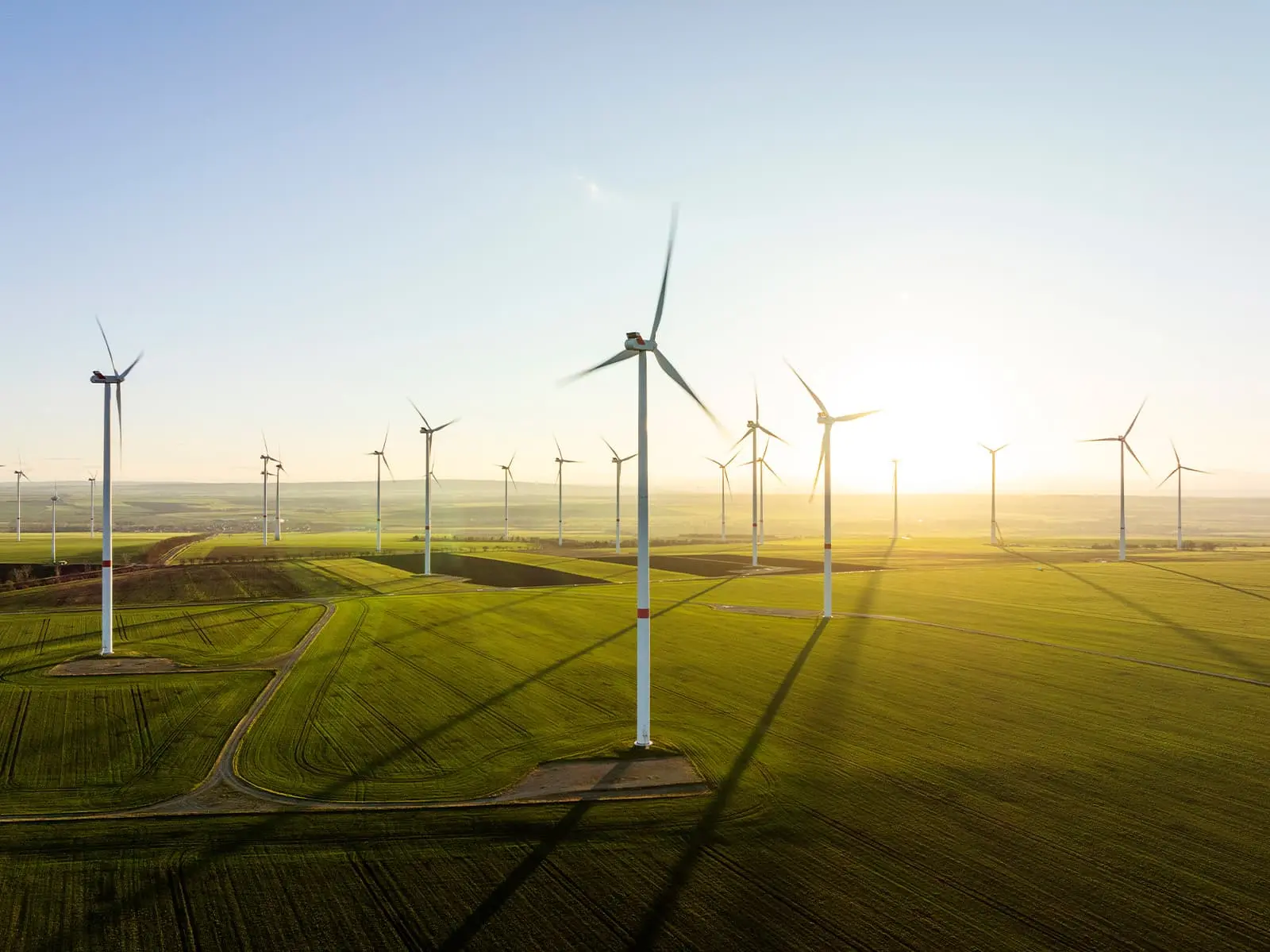 Mulberry Wealth Securities - Social; Responsibility and Sustainability